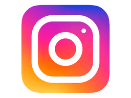 Insta logo